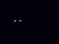 DSCN4602 (Mittel).jpg