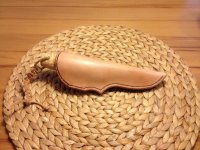 bilderupload 24.3.2013 1004.jpg