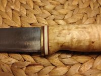 bilderupload 24.3.2013 1016.jpg