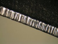 mikro_001.jpg