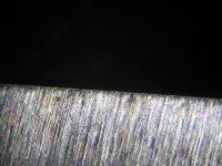 mikro002.JPG