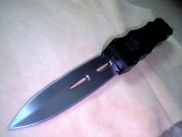 SS 02.jpg