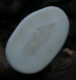 Stienen531.jpg