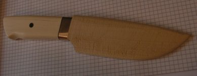 holz7.jpg