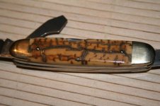 IMG_0176.jpg