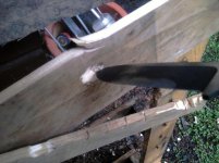 IMG_20130411_121007_2.jpg