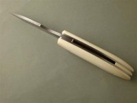 P1030029 (Mittel).jpg