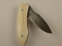 P1030031 (Mittel).jpg