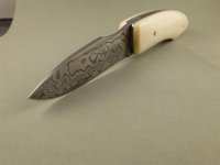 P1030034 (Mittel).jpg