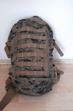 CIMG2673.jpg