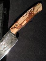 IMG_0852.jpg