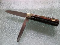 puma943d.JPG