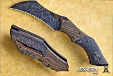 assassin11.jpg assassin11.jpg