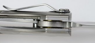 squailMF_3_800.jpg squailMF_3_800.jpg