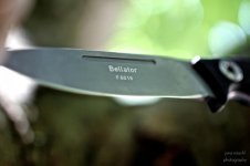 Eickhorn-Bellator-Ausschnitt.jpg