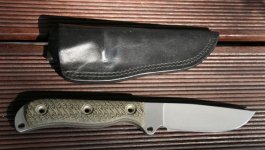 Busse 1.jpg Busse 1.jpg