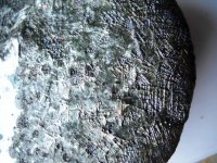 versuch 08_2013 (3).jpg