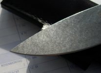 DSCI0022.jpg