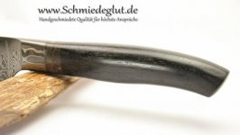 DSC_6490 [1280x768] [1024x768].jpg