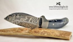 DSC_6395 [1280x768] [1024x768].jpg