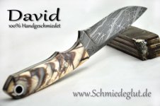 David SpiroStar2(3) [1024x768].jpg