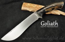 Goliath Hammerfinished 1 [1024x768].jpg