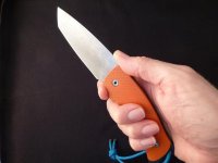 P1030275 (Mittel).jpg