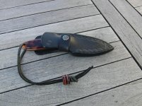 Dimidia01.jpg