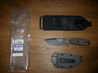 esee 002.jpg