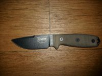 esee 003.jpg