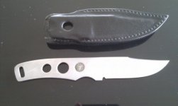 Cobra Gunskin 1.jpg