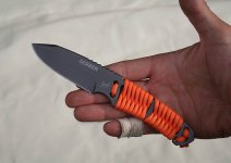 gerber bg 3.jpg
