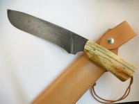 P1030265 (Mittel).jpg