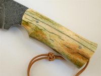 P1030268 (Mittel).jpg