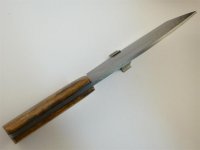 P1030262 (Mittel).jpg