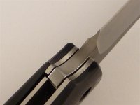 P1030329 (Mittel).jpg