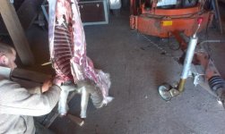 2013-12-27 13.10.31.jpg