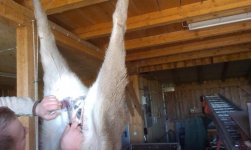 2013-12-27 12.56.29.jpg