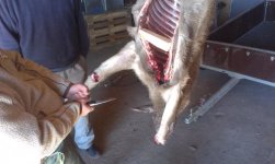 2013-12-27 12.54.34.jpg