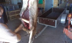 2013-12-27 12.54.25.jpg