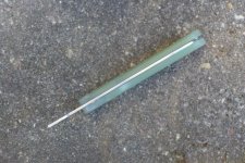 P1020151.jpg