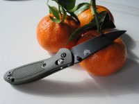 IMG_0909.jpg