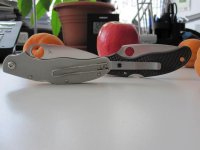 IMG_0936.jpg
