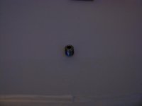 IMG_5712.jpg IMG_5712.jpg