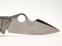 C99P Volpe 2 (Medium).JPG