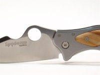 C99P Volpe 3 (Medium).JPG