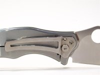 C99P Volpe 6 (Medium).JPG