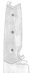 MessermitKappselheber4.jpg