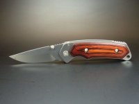 Buck_Alphahunter_01.jpg
