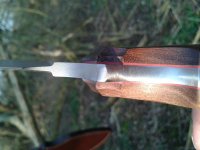 20140302_160023.jpg